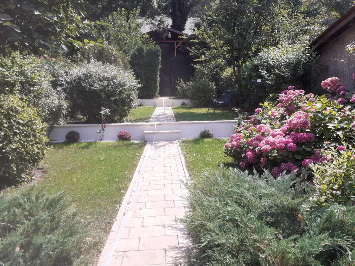 Casa Emy * Braşov