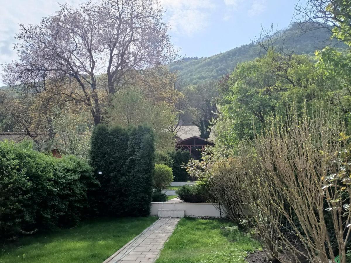 Casa Emy * Braşov
